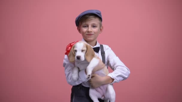 Симпатичный мальчик держит щенка с красным луком, милый питомец, животное в подарок на день рождения — стоковое видео