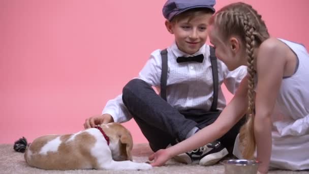 Μικρό αγόρι και κορίτσι χάιδεμα και σίτιση αστεία καθαρόαιμο κουτάβι, νέο κατοικίδιο ζώο της οικογένειας — Αρχείο Βίντεο