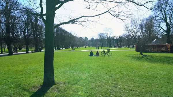 在阳光明媚的日子 人们坐在草地上 在绿色城市公园里放松身心 — 图库照片