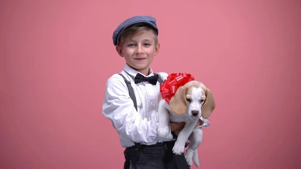 Niedlicher Junge Mit Welpe Mit Roter Schleife Niedliches Haustier Tier — Stockfoto