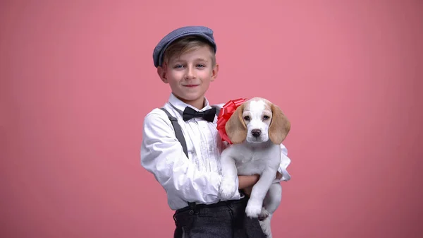 Rüde Hält Welpen Mit Roter Schleife Niedliches Haustier Tieradoptionskonzept Geschenk — Stockfoto