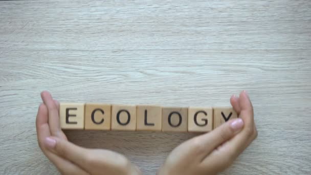 Ecologia Mãos Empurrando Palavra Cubos Madeira Proteção Ambiental Reciclagem — Vídeo de Stock