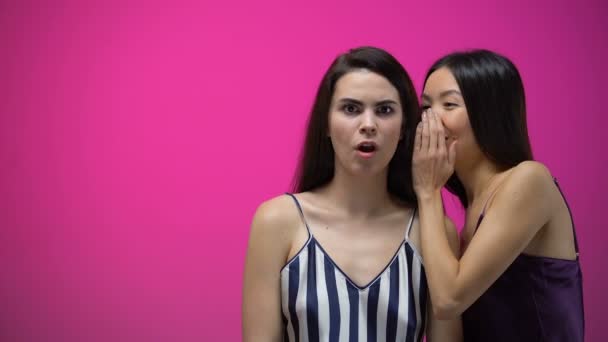 Frau Erzählt Ihrem Geschockten Freund Unglaubliche Neuigkeiten Mädchen Geheimnisse Klatsch — Stockvideo