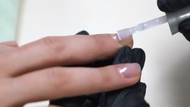 美容师应用底漆在女性指甲 水疗程序 沙龙服务 — 图库视频影像