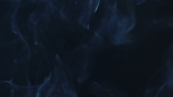 Fumo Branco Que Flui Sobre Fundo Escuro Risco Incêndio Acidente — Vídeo de Stock