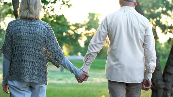 Staruszkowie Trzymając Się Ręce Spacery Parku Romantyczną Randkę Miłość Zaufanie — Zdjęcie stockowe