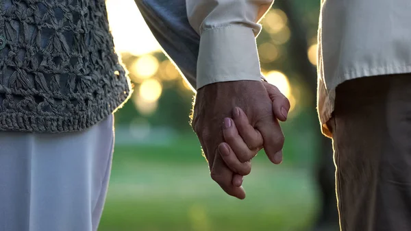 Vieja Pareja Amorosa Tomados Mano Caminando Parque Juntos Cuidado — Foto de Stock