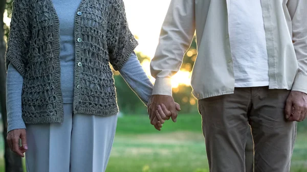 Vieja Pareja Amorosa Tomados Mano Caminando Parque Juntos Cuidado — Foto de Stock