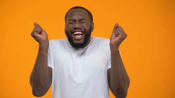 Young Afro American Man Extremely Happy Lottery Winner Yellow Background — Stock Video