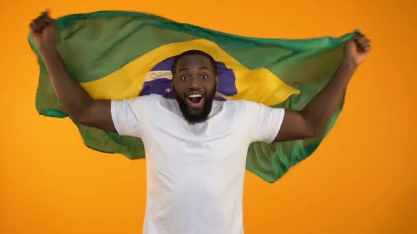 Hombre Afroamericano Ondeando Bandera Brasileña Apoyando Selección Deportiva Nacional — Vídeo de stock