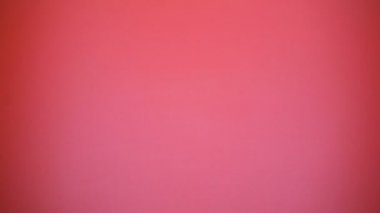 Kafe tepsiye kızarmış patates ve hamburger, sağlıksız aperatif, üstten görünüm koyarak kadın