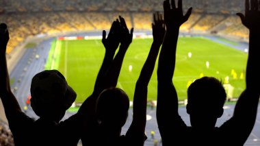 Hedef, kutlama tutkulu futbol taraftarları kazanan, Milli Takım gurur takım