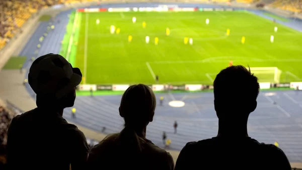 Futbol Takımı Destekleyen Arkadaşlar Futbol Stadı Nda Spor Maçı Izlerken — Stok fotoğraf