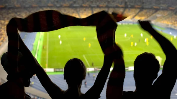 Grupo Fãs Futebol Comemorando Vitória Equipe Estádio Lotado Jogo Final — Fotografia de Stock