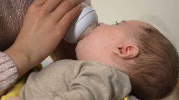 可爱的婴儿吸吮配方奶粉从瓶子与正畸在妈妈手上的双生病 — 图库视频影像