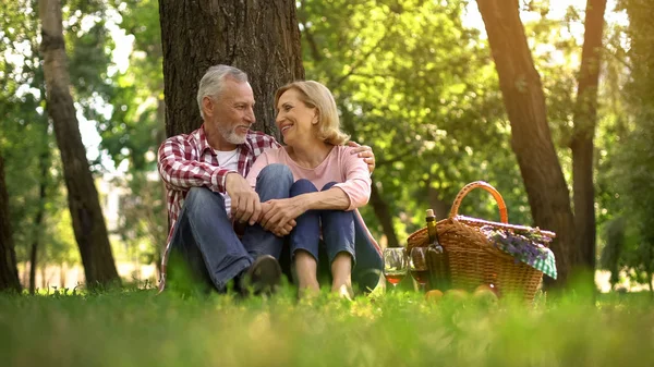 Счастливая Пожилая Пара Сидит Траве Наслаждается Романтическим Свиданием Пикник Парке — стоковое фото