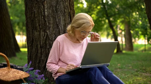 Aufmerksame Seniorin Sitzt Mit Laptop Park Und Arbeitet Online Freiberuflich — Stockfoto
