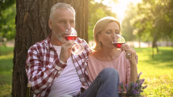 Satisfeito Casal Sênior Beber Vinho Desfrutar Data Romântica Parque Amor — Fotografia de Stock