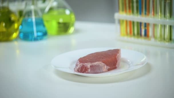 肉のサンプル 品質管理 遺伝子組み換え食品の専門知識を調べる研究室助手 — ストック動画