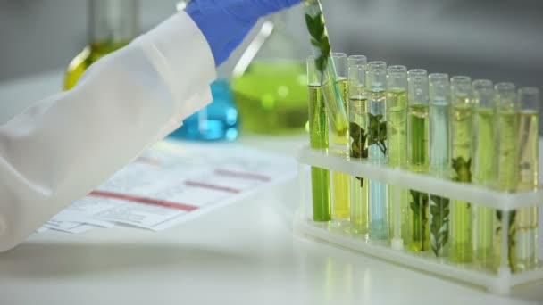 生物学家标记管与植物在保存液体中 对自然的影响 — 图库视频影像