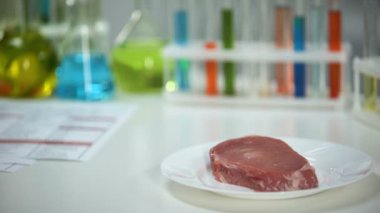 Veteriner holding tablet, arka planda, antibiyotik et örnek test