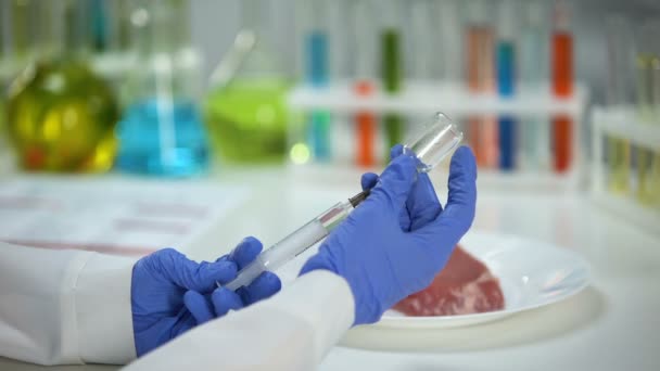 Trabajador Laboratorio Inyectando Medicamentos Muestra Carne Análisis Gripe Porcina Africana — Vídeo de stock