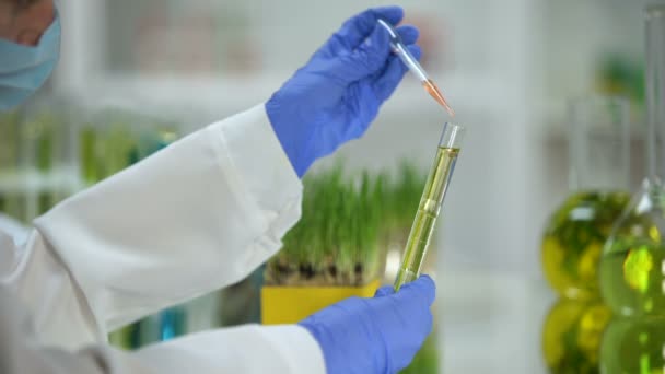 化学家在试管中添加液体 配以植物提取物 生物燃料生产 — 图库视频影像