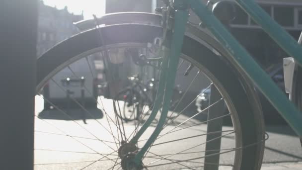 Många cyklar stående längs gatan, hyra cykel, eco transport — Stockvideo