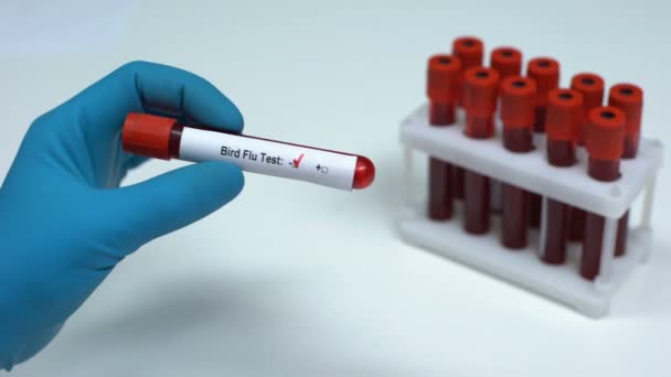 阴性禽流感检测, 医生显示血液样本, 实验室研究, 医疗保健 — 图库视频影像