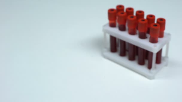 Teste negativo do álcool, doutor que mostra a amostra de sangue, exame de saúde da pesquisa do laboratório — Vídeo de Stock