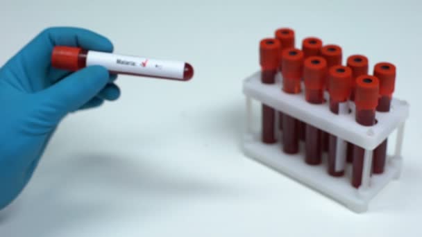Отрицательный тест на малярию, доктор показывает образец крови, лабораторные исследования, здравоохранение — стоковое видео