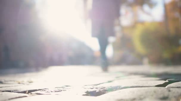 女らしさカメラから行く秋の太陽で照らされた女性のシルエット — ストック動画