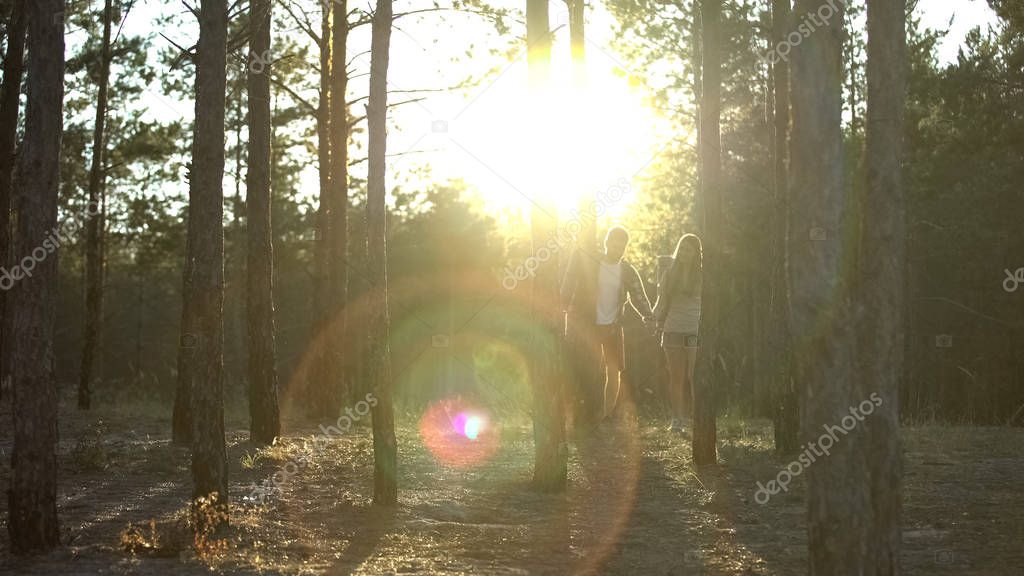 Couple of tourists walking in forest and holding hands during magic hour, hiking