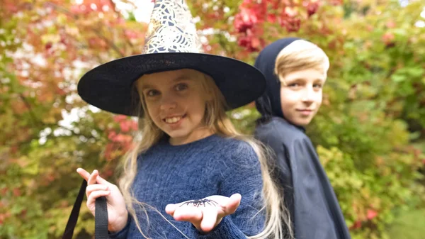 怖いクモと少年吸血鬼のカメラのためにポーズを保持している魔女の衣装の女の子 — ストック写真