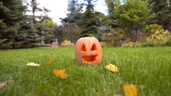 Kürbiskerl Mit Lächelndem Gesicht Auf Grünem Gras Liegend Fröhlicher Halloween — Stockfoto