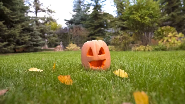 横になっているハロウィーンの休日を緑の草 幸せな笑顔とカボチャのジャック — ストック写真