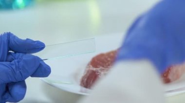 Cam, arka planda, Bakteriyolojinin et parçası sıvı damlayan bilim adamı