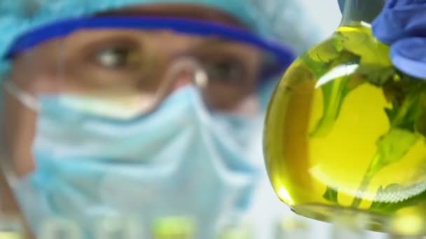 Výzkumník označení baňky s zelených rostlin uchovávaných v žlutá kapalina, closeup — Stock video