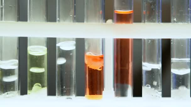 Liquids boiling in test tubes, fermentation reaction in laboratory, experiment — Stock Video