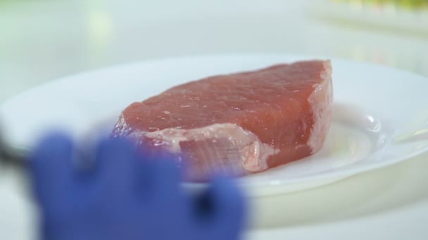 Naukowiec patrząc przez szkło powiększające o próbki mięsa, kontrola jakości — Wideo stockowe