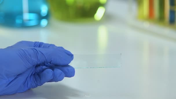 Laboratory worker dripping clear liquid sample on glass, biochemical research — Stock Video