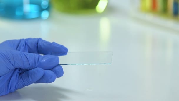 Epidemioloog druipend bloedmonster op glas, analyseren van biomaterial, virus — Stockvideo