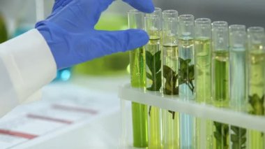 Kozmetik laboratuarı alt örnek test tüpü, doğal özde bitki işaretleme