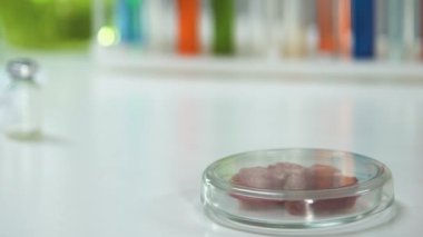 Alarak ve Büyüteç camı, ihracat ile et örnek analiz laboratuvar araştırmacı