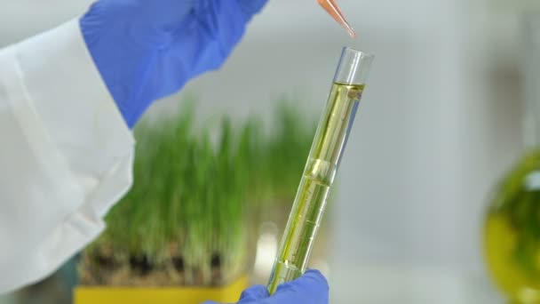 Bioquímico gotejamento reagente oleoso em tubo de ensaio com extrato, criação de detergente — Vídeo de Stock