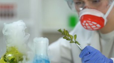 Kadın biyolog bitki örnek, kozmetik Laboratuvar araştırmaları inceleyerek