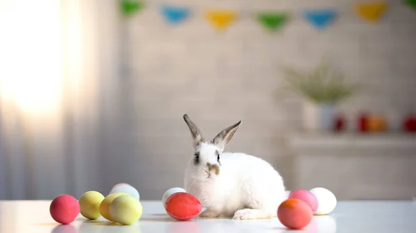 Schattig Konijn Zittend Tafel Met Kleurrijke Eieren Pasen Symbool Vakantie — Stockfoto