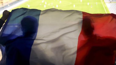 Fransız destekçileri ulusal bayrak sallayarak futbol takım zafer için tezahürat
