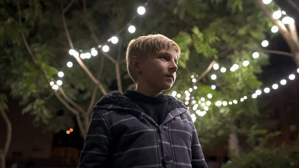 Маленький Хлопчик Стоїть Вечірньому Парку Прикрашеними Деревами Святкування Свята — стокове фото
