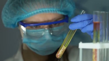 Laboratuar bilim adamı tüp et örnek kimyasal ajan ekleyerek, GDO gıda uzmanlığı